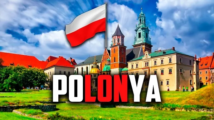 Polonya'da Eğitim